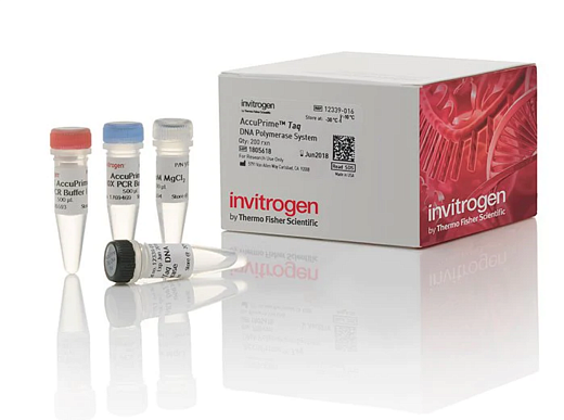 Набор AccuPrime Taq DNA Polymerase System, Thermo FS Фото 1