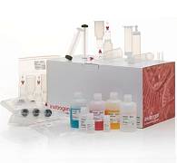 Набор PureLink Fast Low-Endotoxin Midi Plasmid Purification Kit