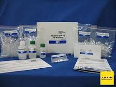 Набор для выделения ДНК из фекалий/FastDNA Spin Kit for Feces, 50 выделений