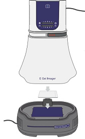 Гельдокументирующая система E-Gel Imager with E-Gel Adaptor