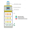 Схема движения воздушных потоков шкафа БАВ-«Ламинар.-С.», Ламинарные системы