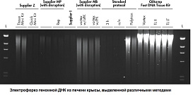 Набор для выделения ДНК из тканей QIAamp Fast DNA Tissue Kit