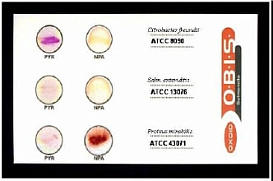 Набор для биохимической идентификации Listeria monocytogenes, O.B.I.S., 60 тестов/уп