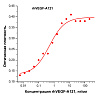 Фактор роста эндотелия сосудов-А человека, изоформа 121, рекомбинантный белок, rhVEGF-A121, кривая