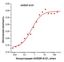 Фактор роста эндотелия сосудов-А человека, изоформа 121, рекомбинантный белок, rhVEGF-A121, кривая