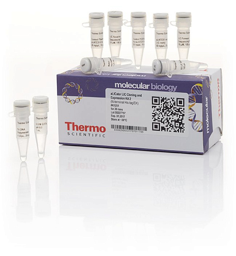 Набор для безлигазного клонирования aLICator LIC Cloning and Expression Kit 2, Thermo FS Фото 1