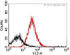 Набор для конъюгации антител PE / R-Phycoerythrin Conjugation Kit, Lightning-Link Фото 13