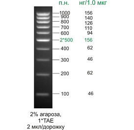 Маркер длин ДНК, 1000/100-500, 10 фрагментов от 100 до 1000 п.н., готовый к применению, 0,1 мг/мл