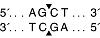 Эндонуклеаза рестрикции AluI, 100 000 ед/мл, New England Biolabs