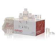 Набор PureLink FFPE RNA Isolation Kit