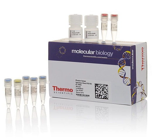 Набор для проведения прямой ПЦР Phusion Human Specimen Direct PCR Kit из образцов человека без предварительного выделения ДНК, Thermo FS Фото 1