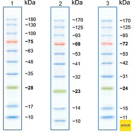 Маркеры белковые молекулярного веса, предокрашенные, Prism Ultra, 10-180 кДа, 10 полос