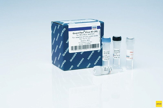 Набор QuantiTect Virus Kit, Qiagen Фото 1