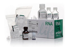 Набор RNAqueous-Micro Total RNA Isolation Kit