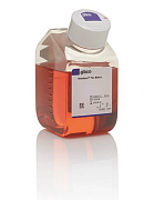 Среда Neurobasal Plus, без животных компонентов, без глутамина, с феноловым красным