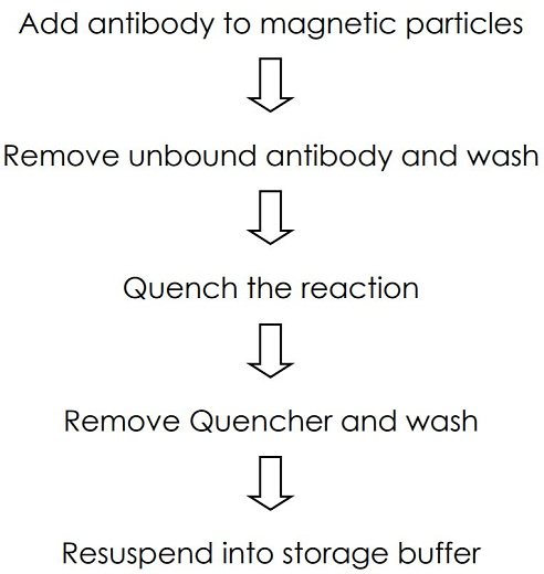 Набор для конъюгации антител с магнитными частицами Magnetic Conjugation Kit, Abcam Фото 2