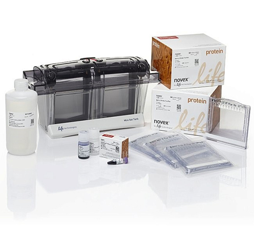 Электрофорезная вертикальная камера Mini Gel Tank (Blot Welcome Pack A), 8х8 см, 2 геля, с набором реагентов, Thermo FS Фото 1