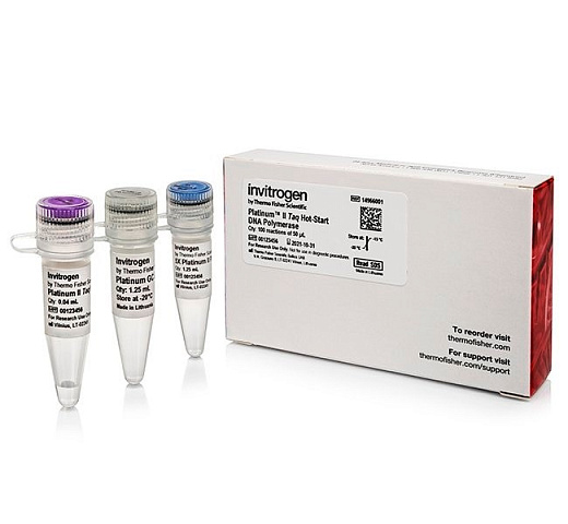 ДНК-полимераза Platinum II Taq Hot-Start с "горячим" стартом, Thermo FS Фото 1