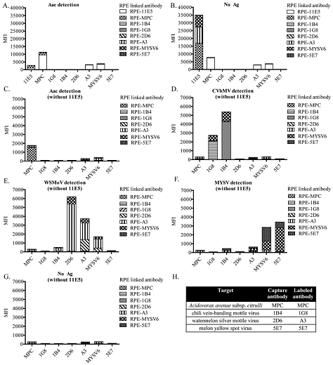 Набор для конъюгации антител PE / R-Phycoerythrin Conjugation Kit, Lightning-Link, Abcam Фото 6