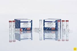 Набор для количественной ПЦР в режиме реального времени QuantiFast Multiplex PCR +R Kit