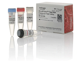 ДНК-полимераза AccuPrime Taq DNA Polymerase, high fidelity