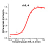 Интерлейкин 4 человека, рекомбинантный белок, rhIL-4