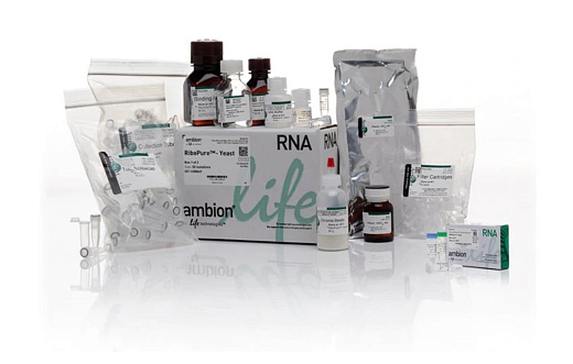 Набор RiboPure RNA Purification Kit, yeast, Thermo FS Фото 1