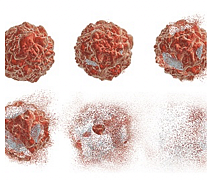 Набор для экстракции бактериального белка, НЭББ, diaGene
