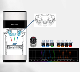 Система визуализации биолюминесценции и флуоресценции in vivo, Newton 7.0-FT100