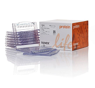 Гель полиакриламидный Bolt Bis-Tris Mini Protein Gel, 8 х 8 см, 15 лунок, 10%