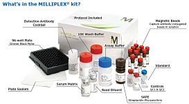 Набор для определения цитокинов и хемокинов человека, Millipore