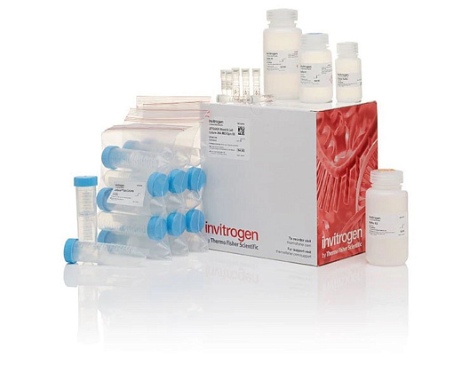 Набор JetQuick Blood and Cell Culture DNA Midiprep Kit, Thermo FS Фото 1