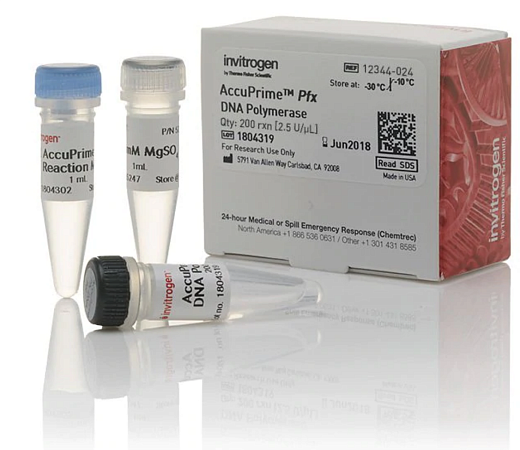 ДНК-полимераза AccuPrime Pfx DNA Polymerase, Thermo FS Фото 1