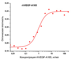 Фактор роста эндотелия сосудов-А человека, изоформа 165, рекомбинантный белок, rhVEGF-A165
