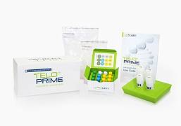 Набор для получения полноразмерных кДНК методом ПЦР TeloPrime Full-Length cDNA Amplification Kit V2