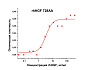 Фактор роста гепатоцитов человека, рекомбинантный белок, rhHGF 728AA, кривая