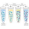 Набор для конъюгации антител PE / R-Phycoerythrin Conjugation Kit, Lightning-Link Фото 2