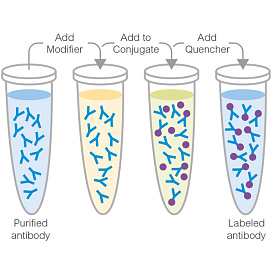 Набор для конъюгации антител PE / R-Phycoerythrin Conjugation Kit, Lightning-Link