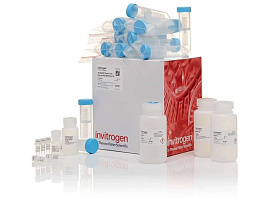 Набор JetQuick Blood and Cell Culture DNA Maxiprep Kit