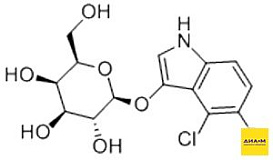 X-gal (5-бром-4-хлор-3-индолил-бета-D-галактопиранозид)