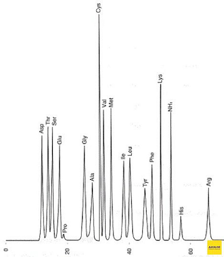 Анализатор аминокислот Azura, Knauer Фото 2