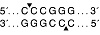  Эндонуклеаза рестрикции XmaI, 10 000 ед/мл, New England Biolabs