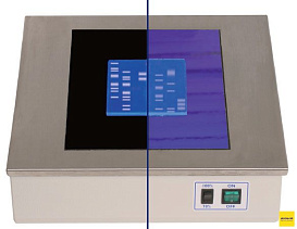 Трансиллюминатор, 365 / 312 нм, 210х260 мм, компактный, лампы 4х8 Вт/ 5х8 Вт, Super-Bright, TCP-26.LMX