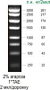 Маркер длин ДНК, 3000, 8 фрагментов от 250 до 3000 п.н, готовый к применению, 0,1 мг/мл