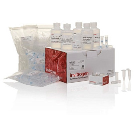 Набор PureLink HQ Mini Plasmid DNA Purification Kit, Thermo FS