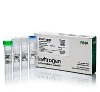 Набор DNA-free DNA Removal Kit