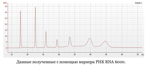 Маркер РНК, RNA 6000, от 200 п.н. до 6000 п.н., 150 мкг/мл, Thermo FS Фото 1