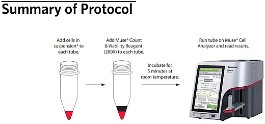 Набор для определения концентрации и жизнеспособности клеток Muse Count & Viability Kit 200x, 100 тестов, Luminex Фото 3