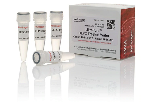 Вода UltraPure DEPC-treated Water, Thermo FS Фото 1