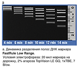 Маркер длин ДНК, FastRuler Low Range, 5 фрагментов от 50 до 1500 п.н., готовый к применению